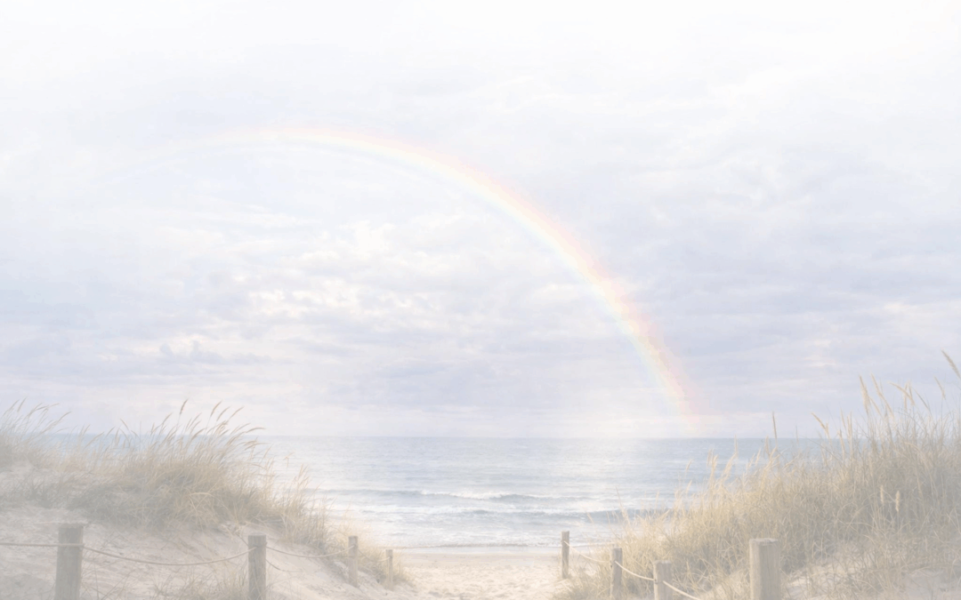 In Memoriam: Harm Jan Wildeboer