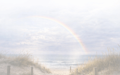 In Memoriam: Harm Jan Wildeboer